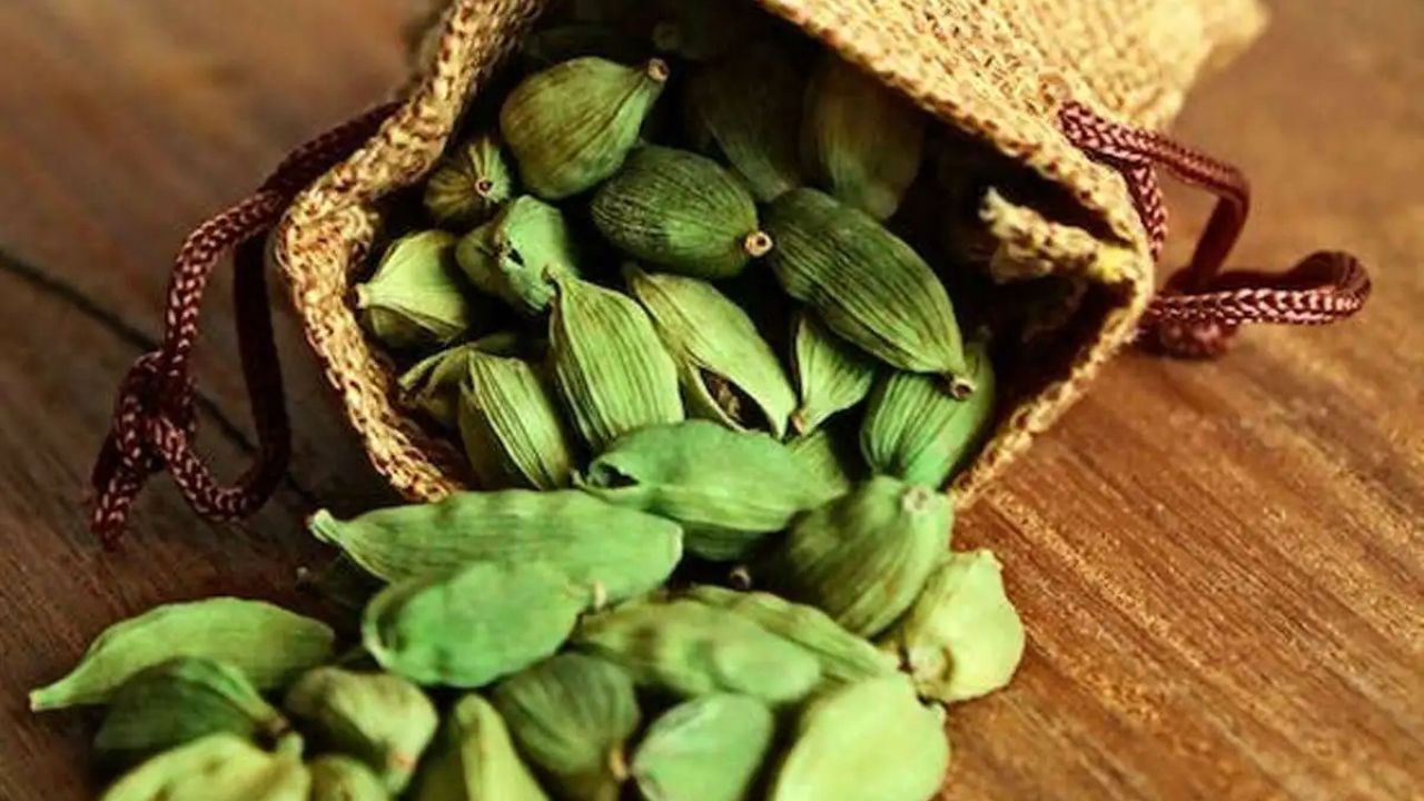 Green Cardamom खाने से बढ़ती है ऊर्जा और पाचन शक्ति, रोज़ाना चबाने से शरीर होगा फिट और रोग रहित