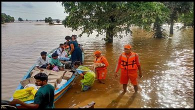 UP Flood: यमुना, चम्बल और उत्तंग की बाढ़ के बाद फसलों का नुकसान, ड्रोन से हो रही सर्वे, किसानों की चिंता बढ़ी