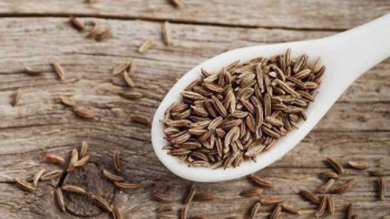 Vitamin B12 In Food: रसोई में मौजूद है Vitamin B12 का खजाना! जीरा बन सकता है आपकी सेहत का सुपरहिरो