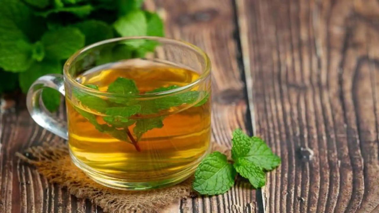 Benefits of mint tea: मौसम बदलते ही क्यों बढ़ती है सर्दी खांसी? जानिए वो हर्ब जो देगा तुरंत राहत