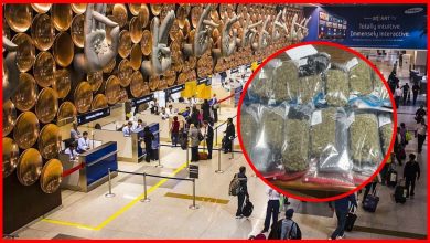इंदिरा गांधी अंतरराष्ट्रीय एयरपोर्ट पर बड़ी गिरफ्तारी, बैंकॉक से आए दो भारतीयों के ट्रॉली बैग में 6.5 करोड़ का गांजा