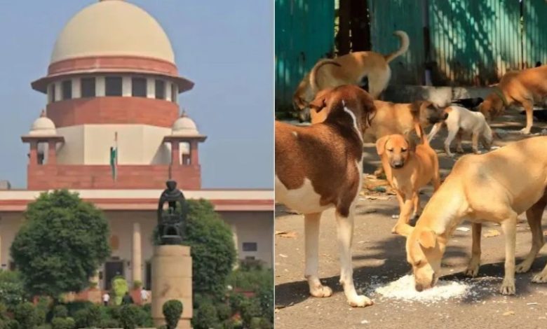 सुप्रीम कोर्ट का आवारा कुत्तों पर कड़ा रुख: कपिल सिब्बल को कहा– "वीडियो दिखाकर मानवता समझेंगे"